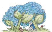 footer image